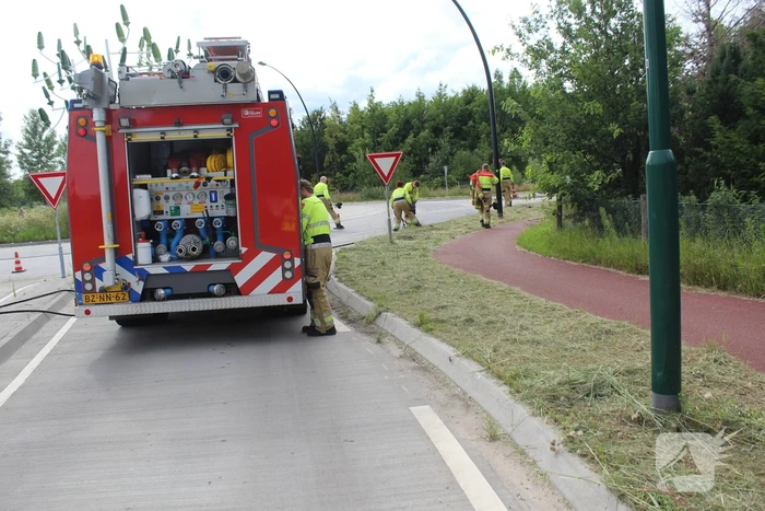 nieuws hulsakker heeswijk-dinther
