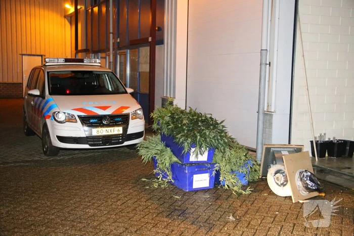 nieuws bergstraat goirle