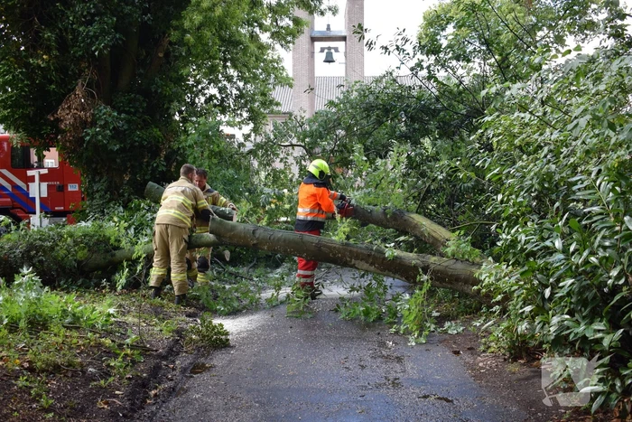 natuur hoofdweg ederveen