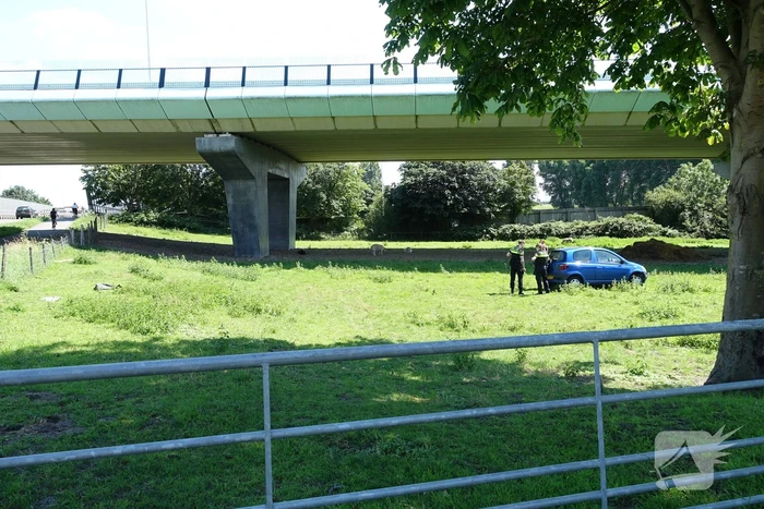 Auto raakt van de weg en belandt in weiland