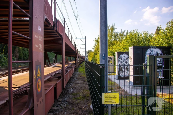 Goederentrein van spoor gelopen