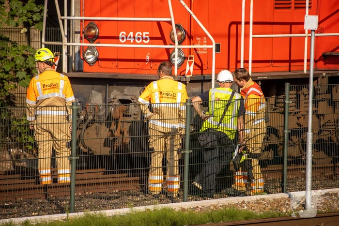 Goederentrein van spoor gelopen