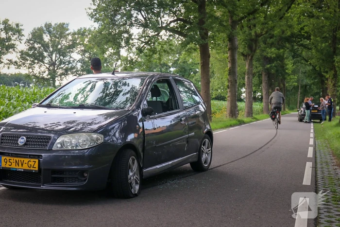 Dure Tesla beschadigd na botsing