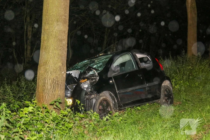 Auto zwaarbeschadigd na botsing tegen boom