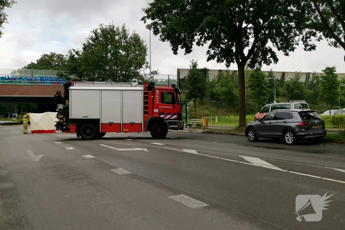 Loslopend paard aangereden door vrachtwagen