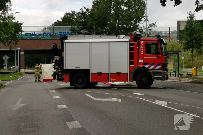 Loslopend paard aangereden door vrachtwagen