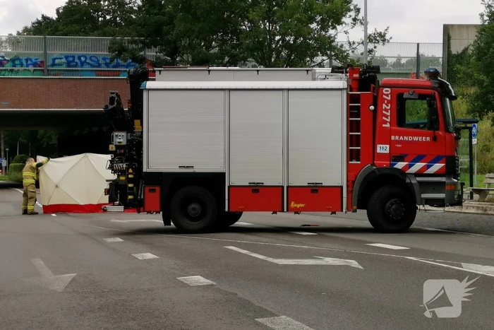 Loslopend paard aangereden door vrachtwagen