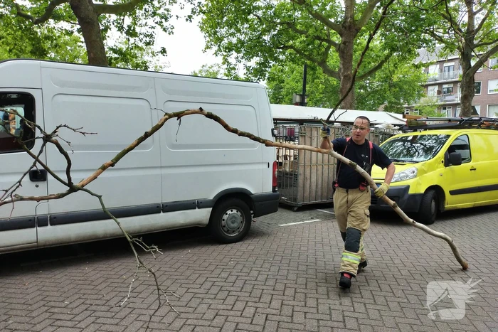 Gevaarlijke hangende takken verwijderd boven marktkraam
