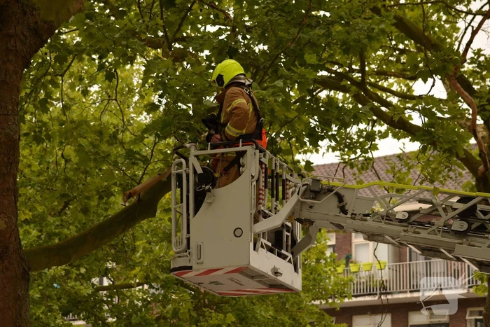 Gevaarlijke hangende takken verwijderd boven marktkraam