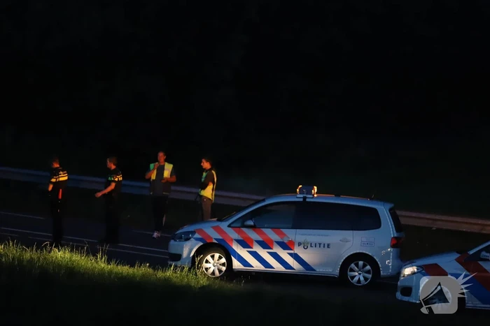 Bestelbus vliegt over de vangrail belandt in riet