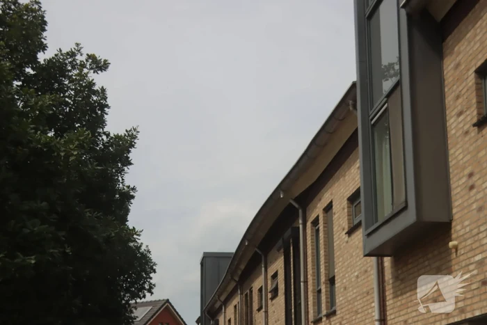 nieuws biezenloop heesch