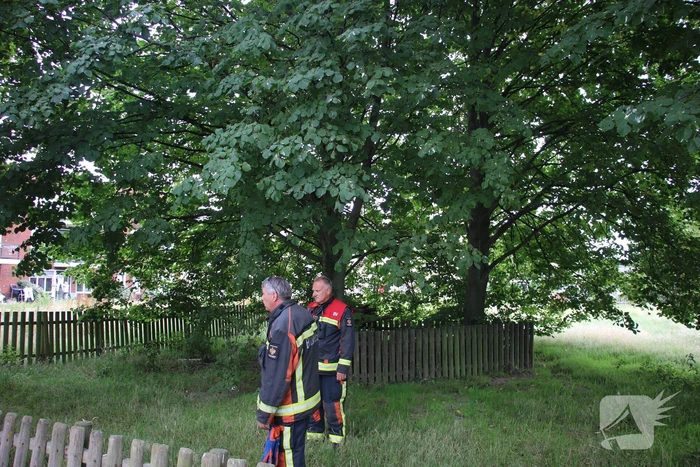 Brandweer bevrijdt meisje uit hoge boom