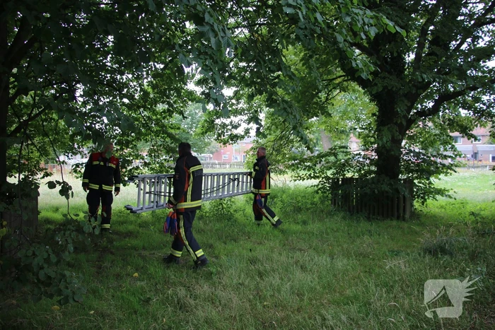 Brandweer bevrijdt meisje uit hoge boom