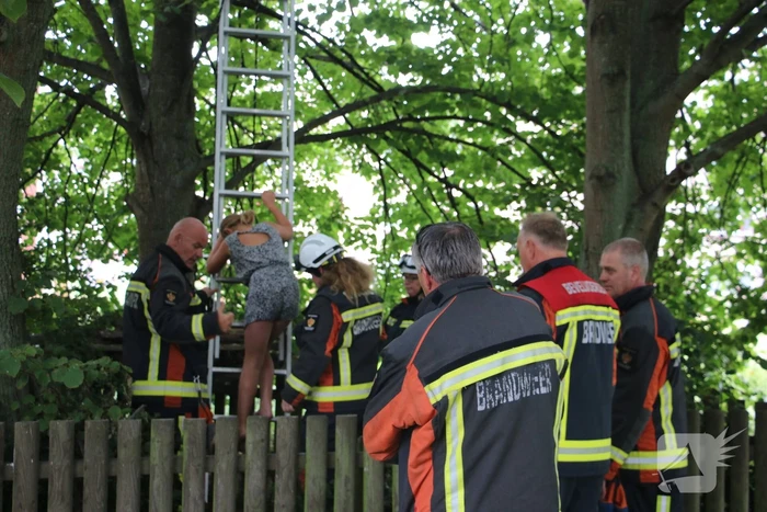 nieuws adriaan mouriszweg noordwijk
