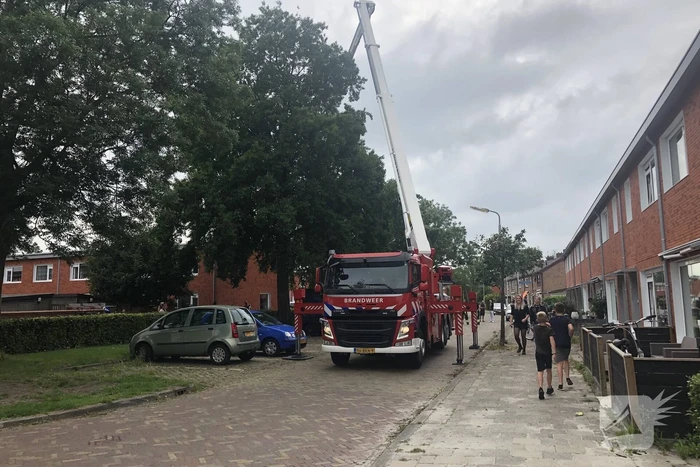 Papagaai met hoogwerker uit de boom gehaald
