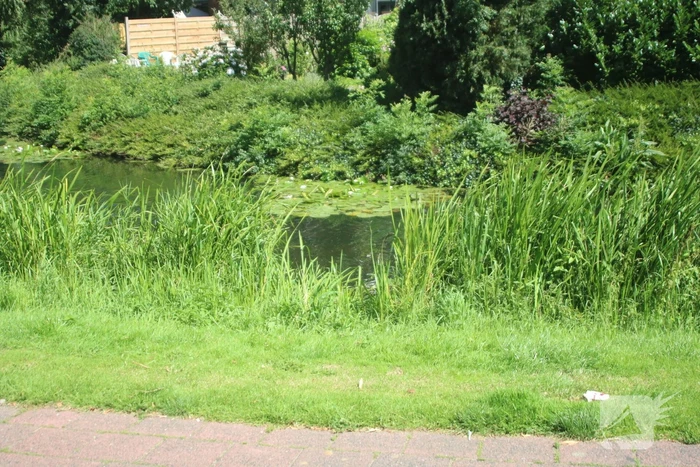 Kinderwagen met baby raakt te water