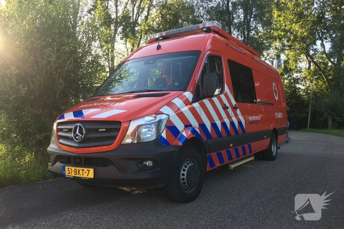 Paard belandt in sloot