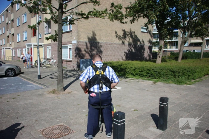 Papegaai uit boom gered