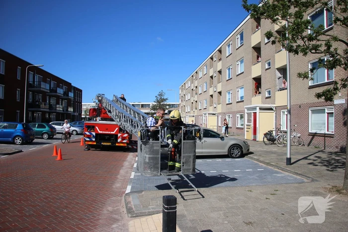 Papegaai uit boom gered