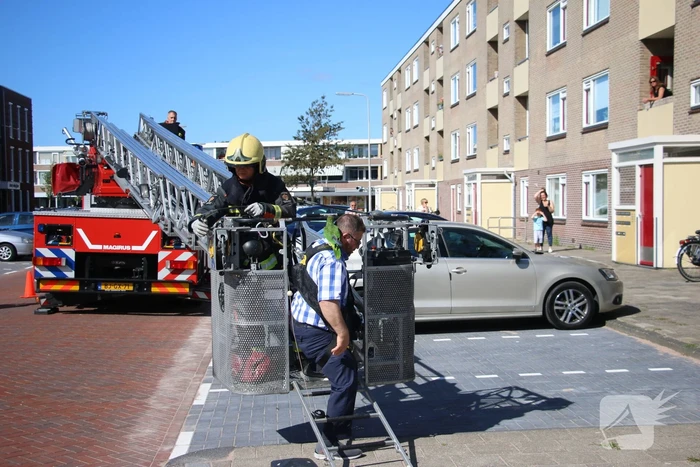 Papegaai uit boom gered
