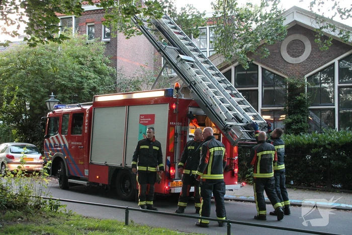 Kat uit boom gered