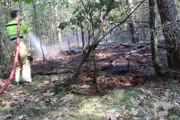 Flink stuk bos in brand