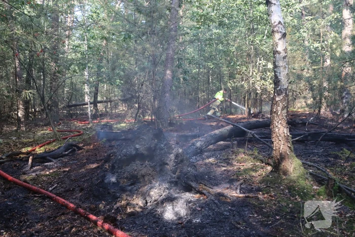 Flink stuk bos in brand