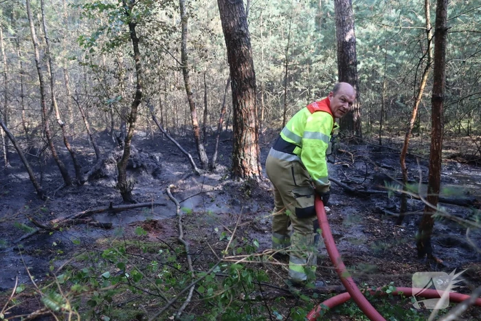 Flink stuk bos in brand