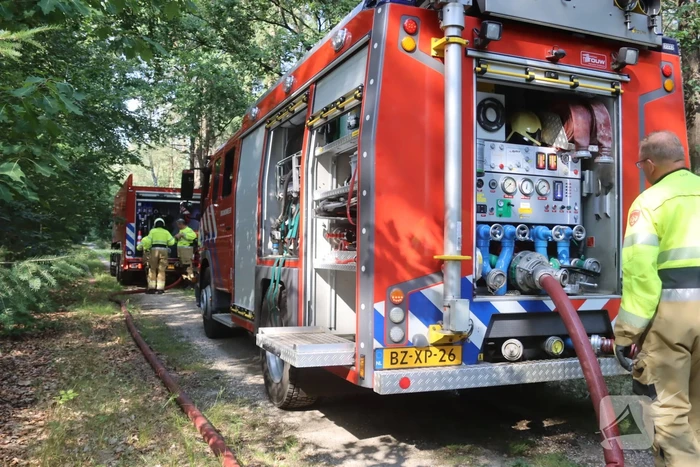 Flink stuk bos in brand