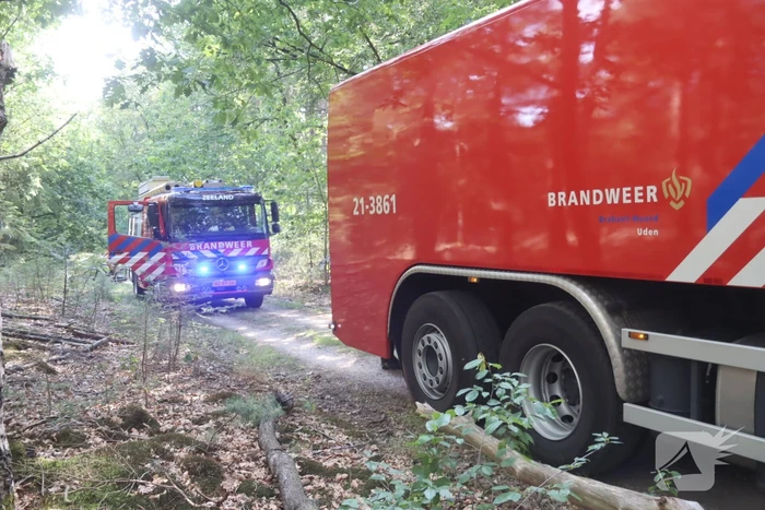 Flink stuk bos in brand