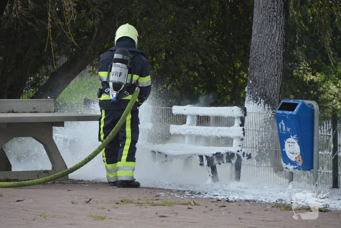 brand buorren goutum