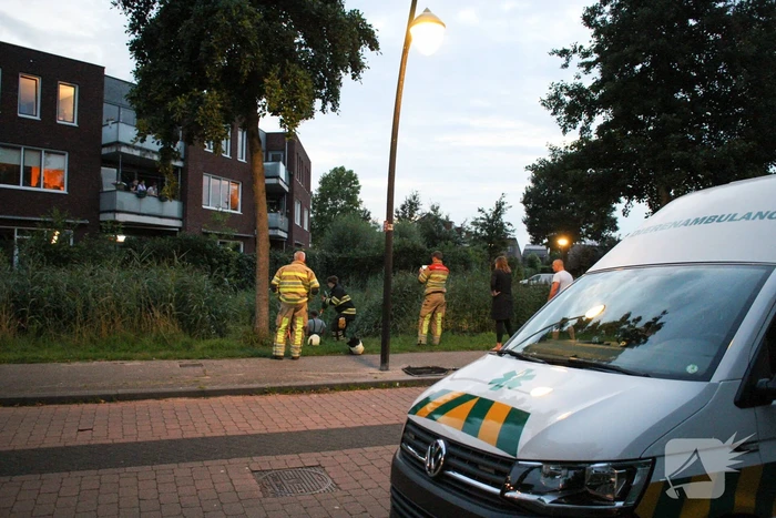 Brandweer bevrijd vastzittende jonge zwaan