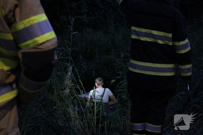 Brandweer bevrijd vastzittende jonge zwaan