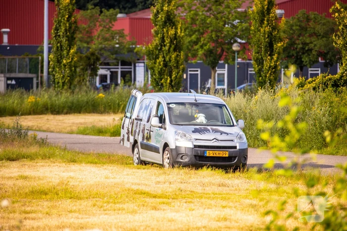 Man op leeftijd valt het water in