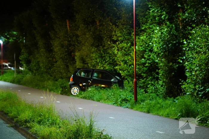 Auto raakt van de weg en belandt in struiken