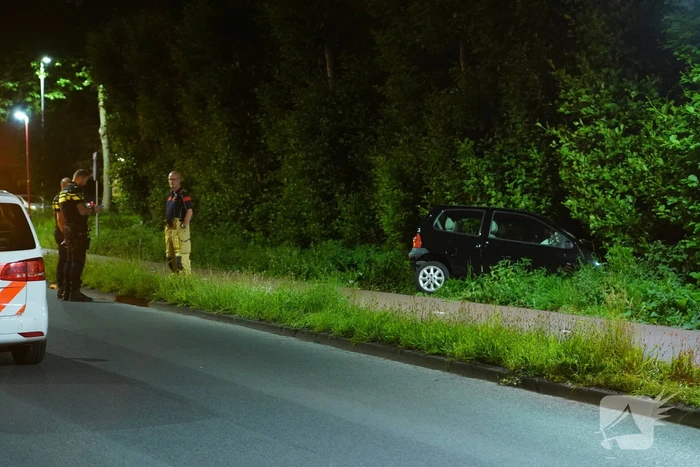 Auto raakt van de weg en belandt in struiken