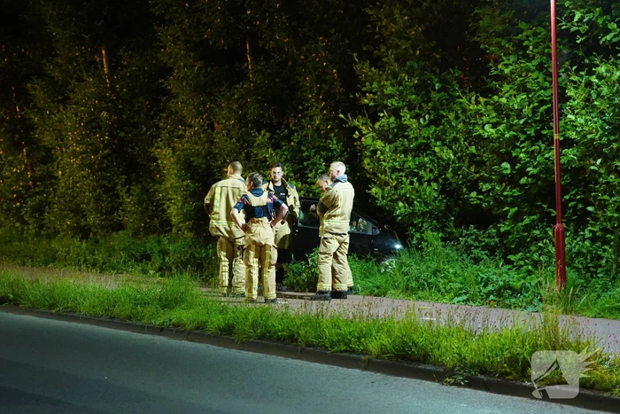 Auto raakt van de weg en belandt in struiken