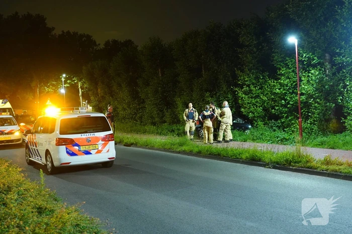 Auto raakt van de weg en belandt in struiken