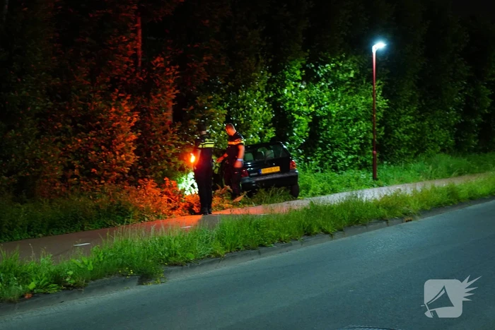 Auto raakt van de weg en belandt in struiken