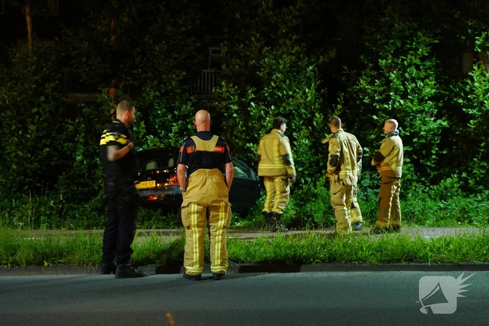 Auto raakt van de weg en belandt in struiken