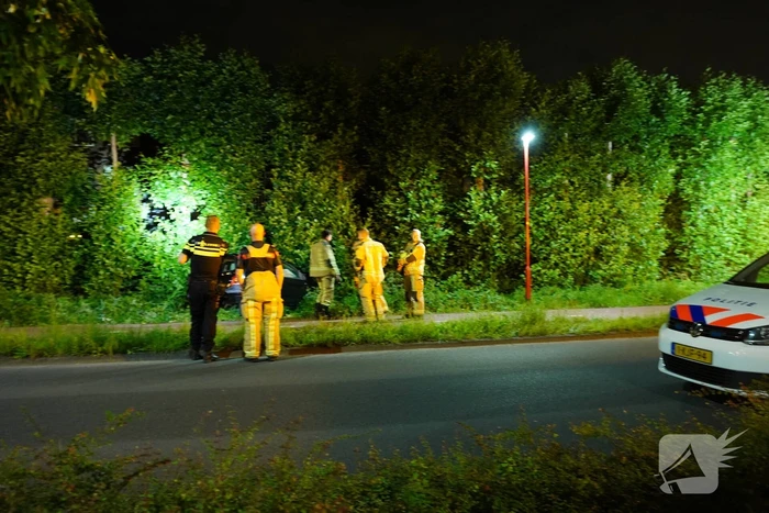 Auto raakt van de weg en belandt in struiken