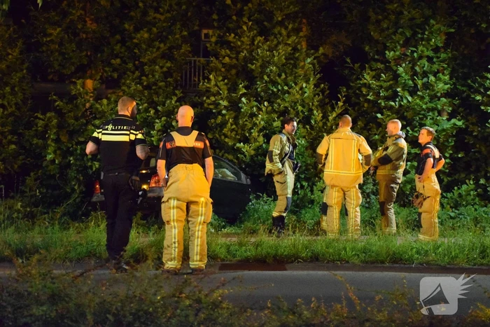 Auto raakt van de weg en belandt in struiken