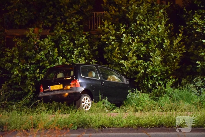 Auto raakt van de weg en belandt in struiken