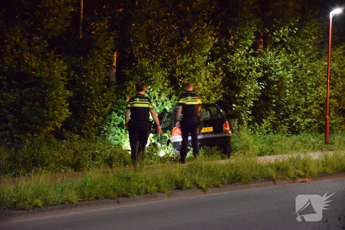Auto raakt van de weg en belandt in struiken