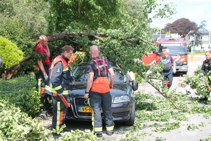 Auto beschadigd nadat tak afbreekt