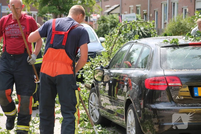 Auto beschadigd nadat tak afbreekt