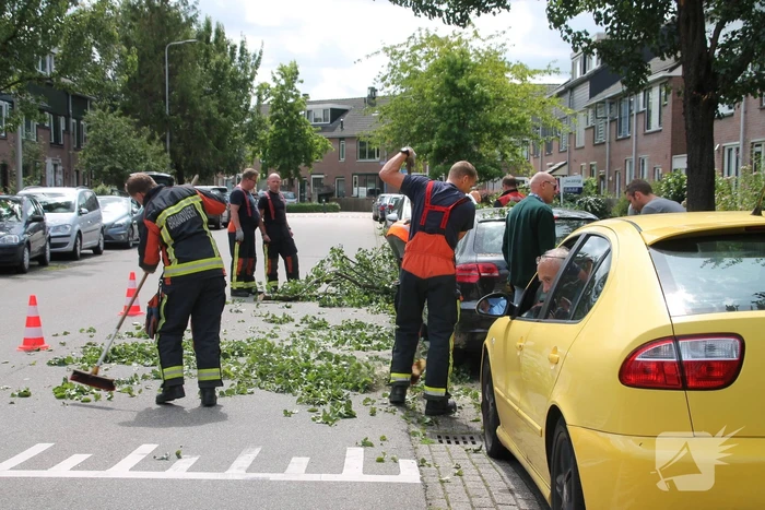 Auto beschadigd nadat tak afbreekt