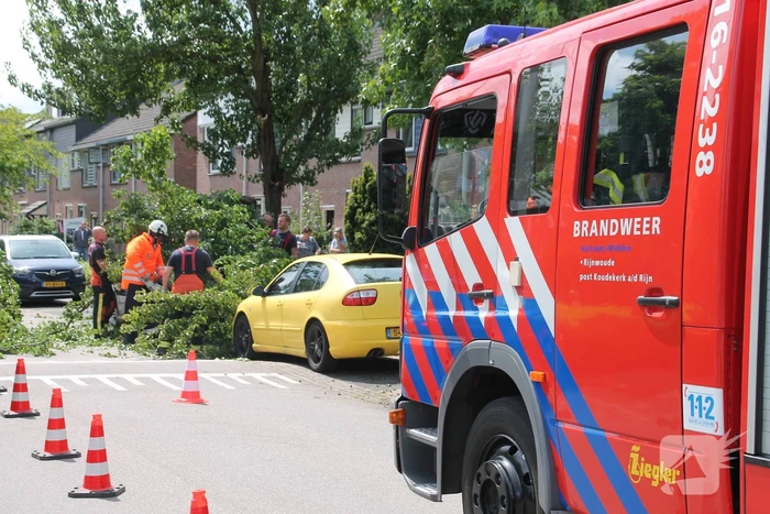 Auto beschadigd nadat tak afbreekt