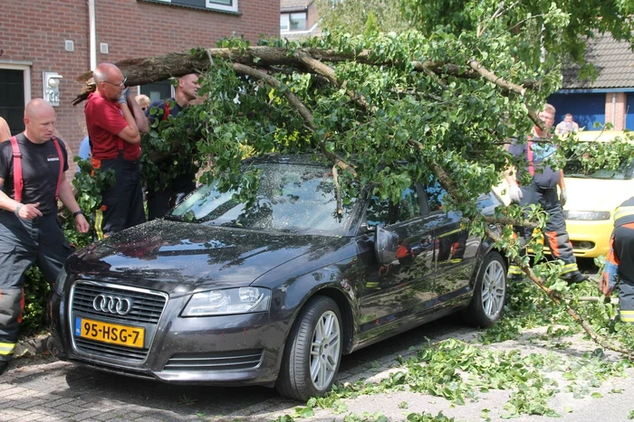 Auto beschadigd nadat tak afbreekt