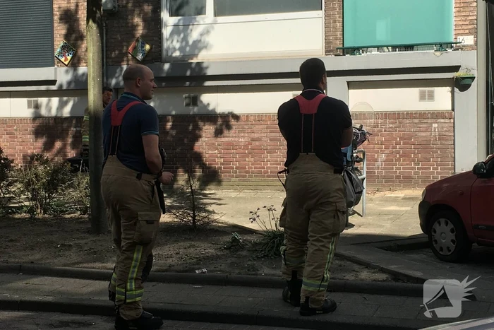 nieuws koggestraat rotterdam